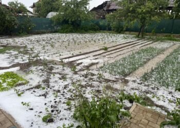 Grindina a făcut prăpăd, alerta continuă