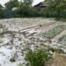 Grindina a făcut prăpăd, alerta continuă