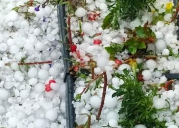 Grindina a lovit din nou Mehedințiul – Oamenii sunt devastati de pagubele enorme!