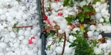 Grindina a lovit din nou Mehedințiul – Oamenii sunt devastati de pagubele enorme!