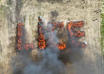 Un oraș întreg a avut halucinații după ce poliția a dat foc drogurilor