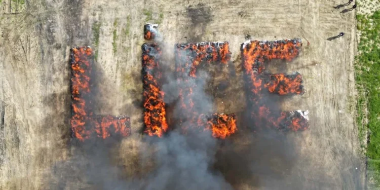 Un oraș întreg a avut halucinații după ce poliția a dat foc drogurilor