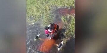 Au supraviețuit 36 de ore în mlaștină, pe epava avionului, înconjurați de caimani