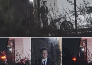 Lasconi a venit cu lebăda neagră, Ponta și Nicușor Dan sunt aruncați în aer