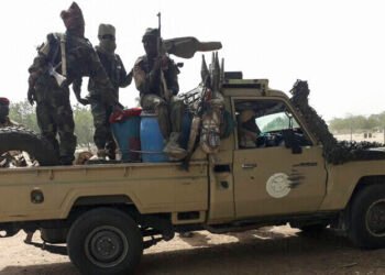 Măcel pe autostrada Okigwe-Owerri: Cel puțin 30 de morți într-un atac armat în Nigeria