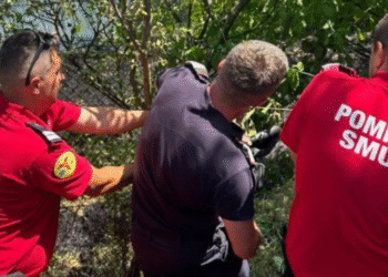 A fugit din calea focului și s-a prins în gard