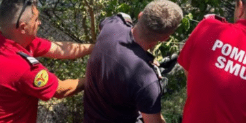 A fugit din calea focului și s-a prins în gard