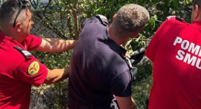 A fugit din calea focului și s-a prins în gard