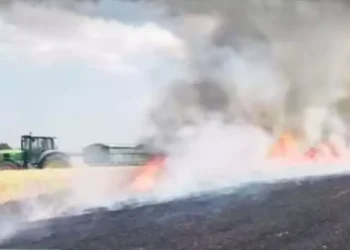 Incendiile fac ravagii în lanurile de grâu: „Muncim tot anul și vedem totul ars în câteva minute”