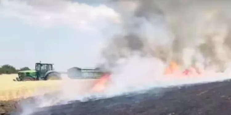 Incendiile fac ravagii în lanurile de grâu: „Muncim tot anul și vedem totul ars în câteva minute”