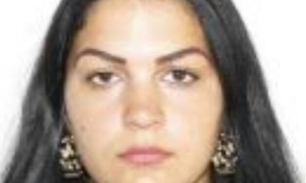 Tânără dispărută între Deva și Lainici