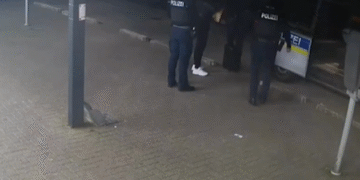 Polițiștii germani prind migranți și în duc pe furiș în Olanda