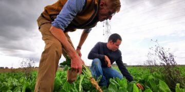 Fermierii europeni se confruntă cu secetă severă și pierderi economice majore