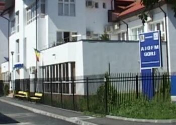 Funcționară din Gorj, hărțuită 13 ani de un obsedat. Legea nu a apărat-o!