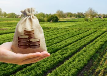 Ferme fictive, finanțate cu bani europeni