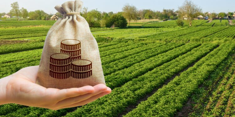 Ferme fictive, finanțate cu bani europeni