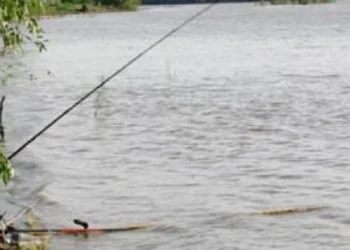 A murit electrocutat după ce undița i-a atins firele de înaltă tensiune