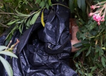 Tragedie în Roma: Mamă româncă și fetița ei nou-născută, găsite moarte într-un parc