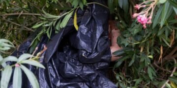 Tragedie în Roma: Mamă româncă și fetița ei nou-născută, găsite moarte într-un parc