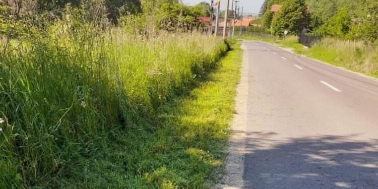 Primarii nu mai au bani nici pentru cositul ierbii de pe marginea drumurilor