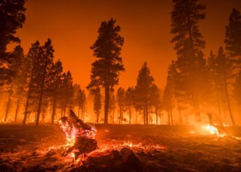 Ministru: Suntem cu ochii pe Caraș-Severin, Gorj, Mehedinți, Dolj și Timiș