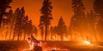 Ministru: Suntem cu ochii pe Caraș-Severin, Gorj, Mehedinți, Dolj și Timiș