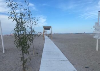 Șefii ANPC se ceartă pe șpăgi? Litoralul, disputat de Piedone și Constantinescu!