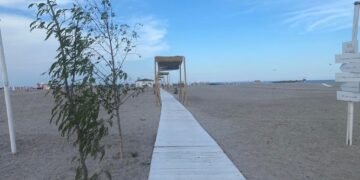 Șefii ANPC se ceartă pe șpăgi? Litoralul, disputat de Piedone și Constantinescu!