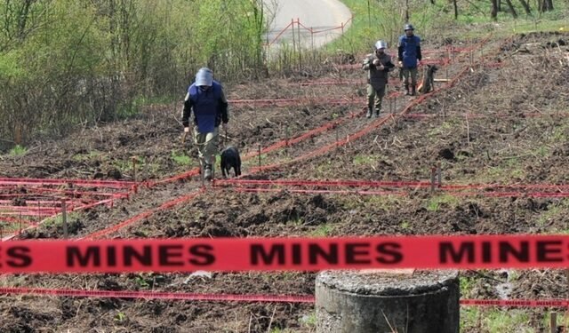 Estonia şi Lituania notifică ONU cu privire la retragerea din tratatul minelor antipersonal