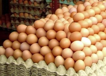 A furat o remorcă plină cu… ouă