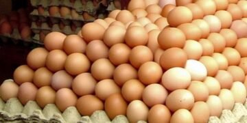 A furat o remorcă plină cu… ouă