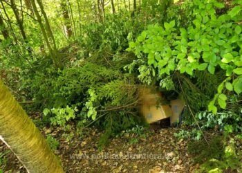 Captură uriașă la granița cu Ucraina… în boscheți