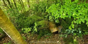 Captură uriașă la granița cu Ucraina… în boscheți