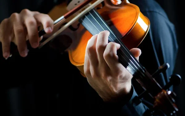 Gorj: Un tânăr de 18 ani a murit după lovit de fulger în timp ce cânta la vioară, în propria locuință