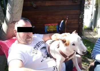 Un român și-a zidit fosta iubită în peretele unui bar din Germania