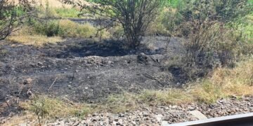 Un tren cu defecțiuni a provocat șase incendii de vegetație