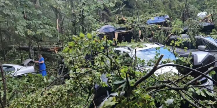 Furtună devastatoare la Sinaia: acoperișul gării smuls de vânt și aruncat pe DN1, zeci de copaci prăbușiți și străzi sub ape