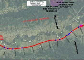 Patru oferte depuse pentru Lotul 5 al Drumului Expres Craiova – Târgu Jiu