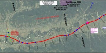 Patru oferte depuse pentru Lotul 5 al Drumului Expres Craiova – Târgu Jiu