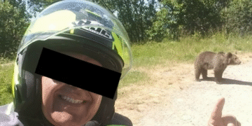 Turist ucis de ursoaica pe care o fotografia