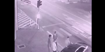 Vandalism chiar în fața Primăriei Târgu Jiu