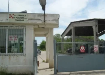 Acuzație: Niciun salariat nu are grupa I de muncă