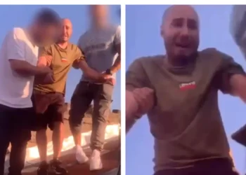 Felix Roncea, capturat pe acoperișul unei clădiri din București