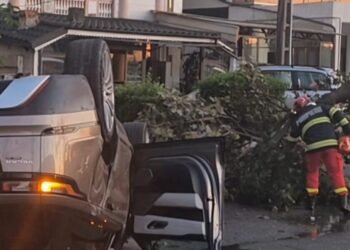 Patru mașini avariate, pe un bulevard din Craiova