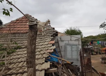 Doi frați din Gorj s-au bătut pentru pensia mamei lor