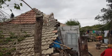 Doi frați din Gorj s-au bătut pentru pensia mamei lor