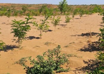 Ministra Mediului a descoperit deșertul din Oltenia