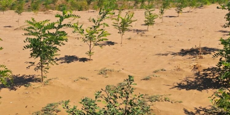 Ministra Mediului a descoperit deșertul din Oltenia