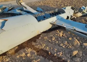 Cum a reușit un hoț să devină erou național