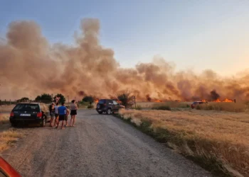Incendiu în lanul de grâu. Locuințe în pericol!